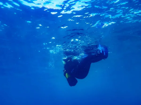 과깊은 것이다 스페인 카나리아 푸에르토데 모간에서 준비를 잠수부 — 스톡 사진