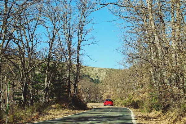 Red Car Driving Rural Road Madrid Spain Car Driving Oak — 스톡 사진