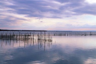 Gün batımında bir gölde karaya oturmuş balık ağları. İspanya 'da bulutlu bir kış gününde Albufera de Valencia manzarası.