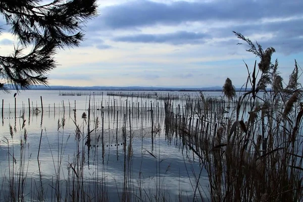 Redes Pesca Varadas Una Laguna Atardecer Paisaje Albufera Valencia Día —  Fotos de Stock