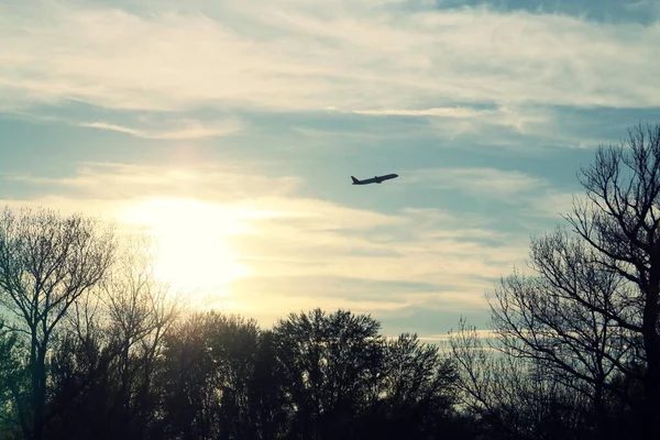 Silhouette of an airplane over the silhouette of trees at sunset. Silhouette of a passenger plane taking off from the Adolfo Suarez Madrid Barajas airport in Spain with the last rays of the sun.