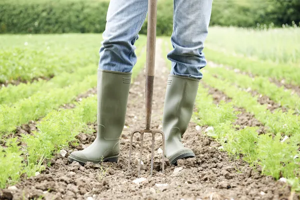 Close up van boer werken in biologische boerderij veld — Stockfoto