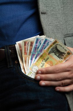 Moldova para birimi. Para