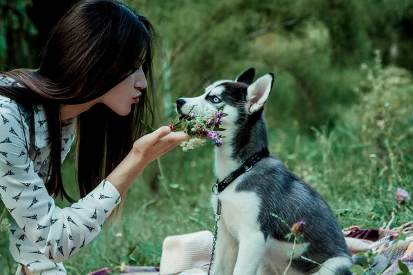 Genç ve güzel kız sevimli köpeğiyle oynuyor.