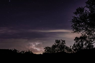 Ormanda güzel bir gün batımı