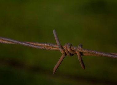 Dikenli tel, bir çiftlik ve kırsal kesimdeki evi korumaya yardımcı olur.