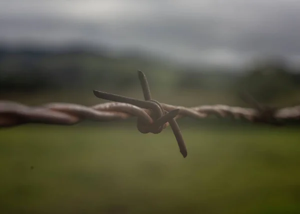 철조망은 시골의 보호하는 도움이 — 스톡 사진