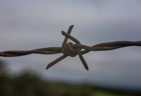 Fil Barbelé Aide Protéger Une Ferme Une Maison Dans Campagne — Photo