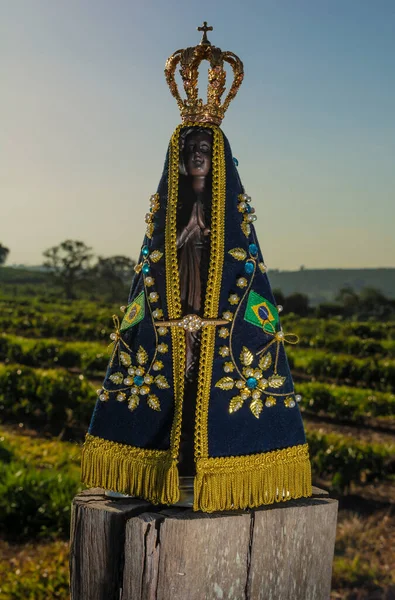 Nossa Senhora Conceição Aparecida — Fotografia de Stock