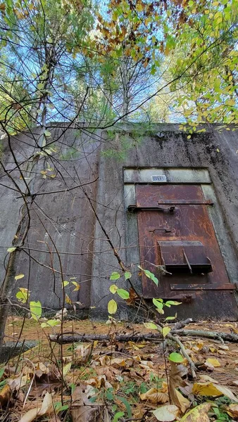 Opuštěný Bunkr Lese — Stock fotografie