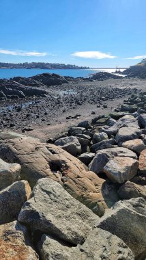 Marblehead Limanı 'ndaki Rocky Plajı