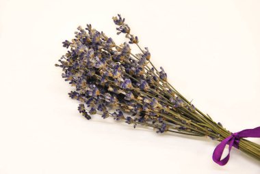 bouquet of lavender on a white background. blurriness and graininess