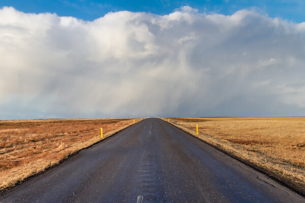 Дорога в никуда
