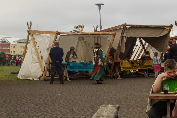 Viking Festival 2014 — Stockfoto