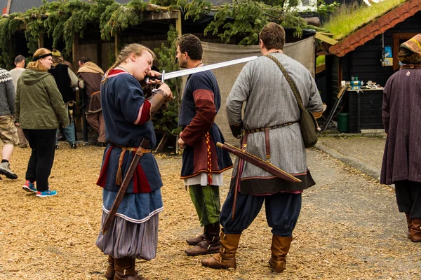 Viking Festivali 2014