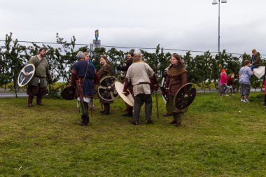 Viking Festivali 2014