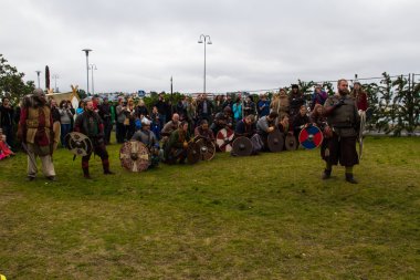 Viking Festivali 2014