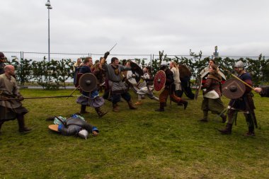 Viking Festivali 2014