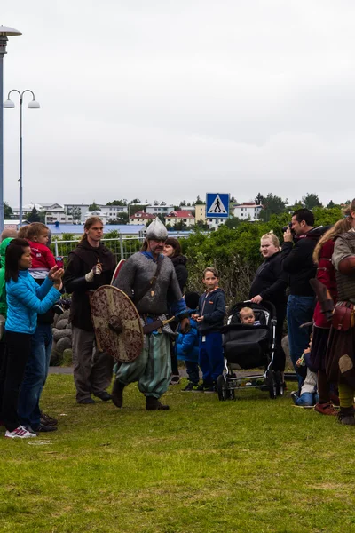Viking Festivali 2014