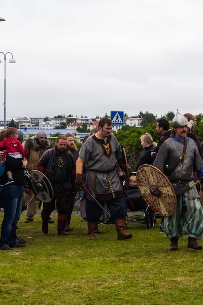 Viking Festivali 2014