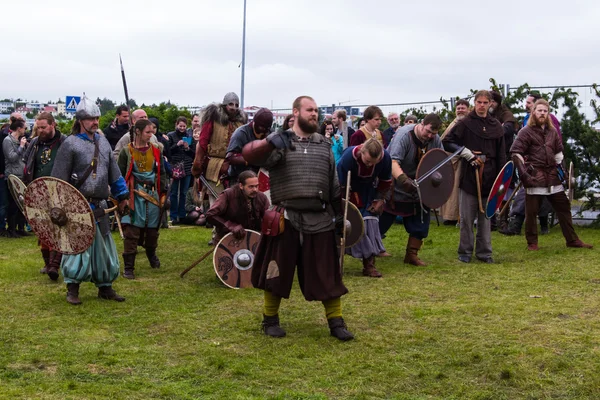 Viking Festival 2014 — Stock Photo, Image