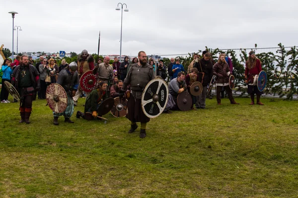 Viking Festivali 2014