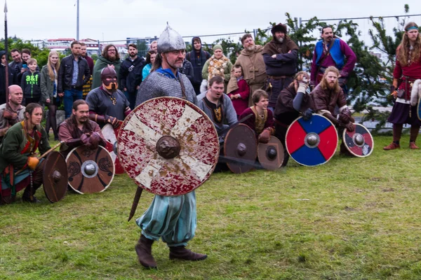 Viking Festival 2014 — Stock Photo, Image