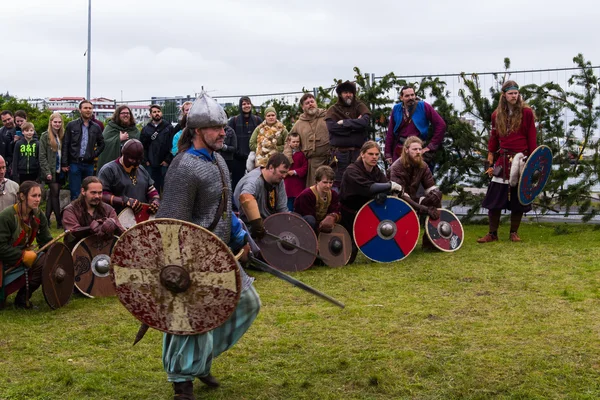 Viking Festivali 2014 — Stok fotoğraf