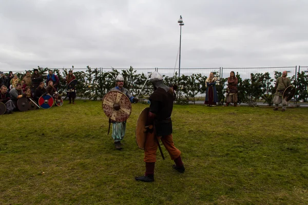 Viking Festival 2014 — Stockfoto