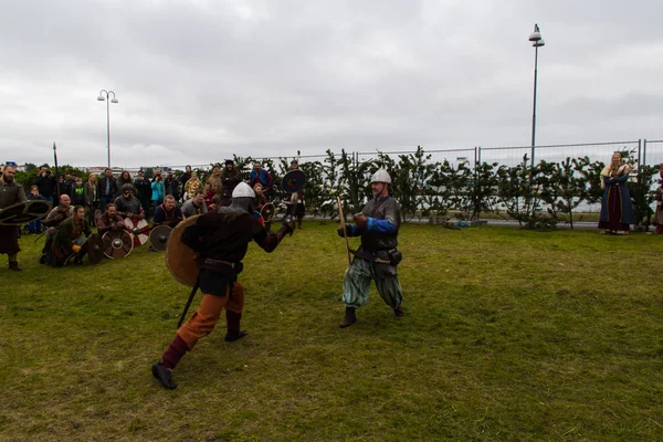 Vikinský festival 2014 — Stock fotografie