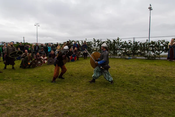 Viking Festival 2014 — Stockfoto