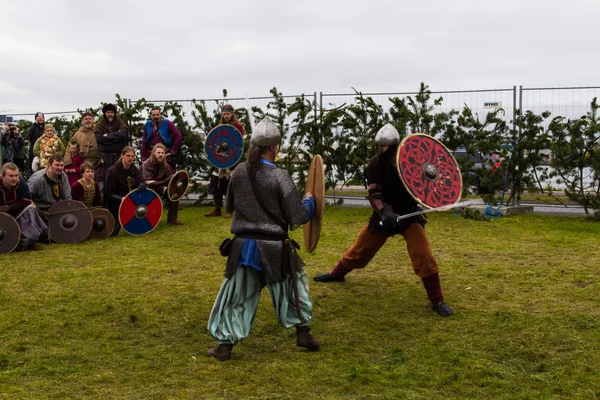 Viking Φεστιβάλ 2014 — Φωτογραφία Αρχείου