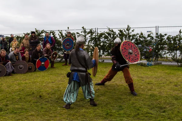 Viking Festival 2014 — Stockfoto