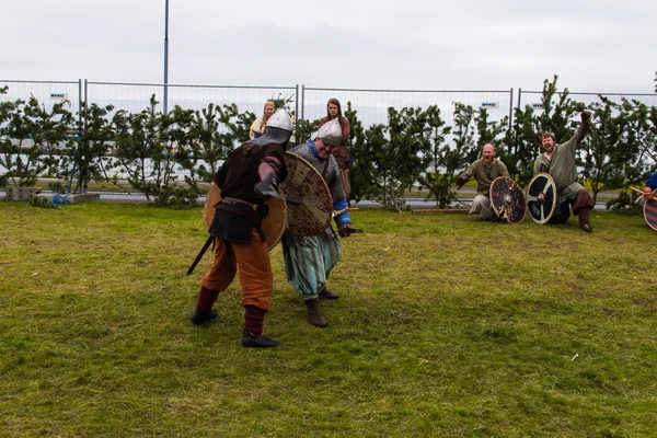 Viking Festival 2014 — Stock Photo, Image