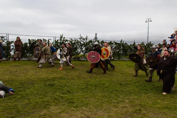 Viking Festival 2014 — Stockfoto