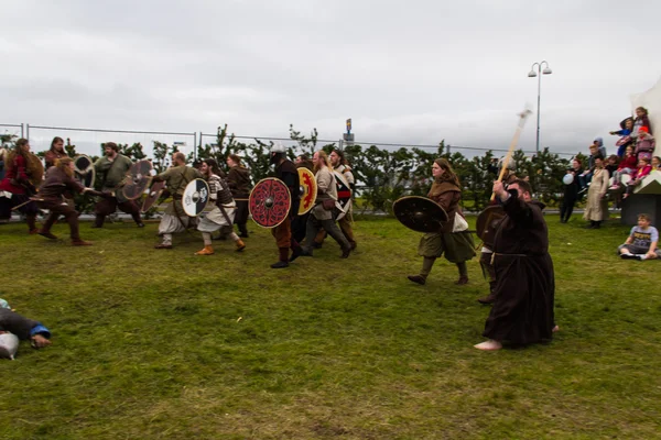 Viking Festival 2014 — Stock Photo, Image