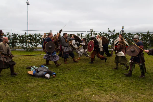 Viking Festival 2014 — Stock Photo, Image