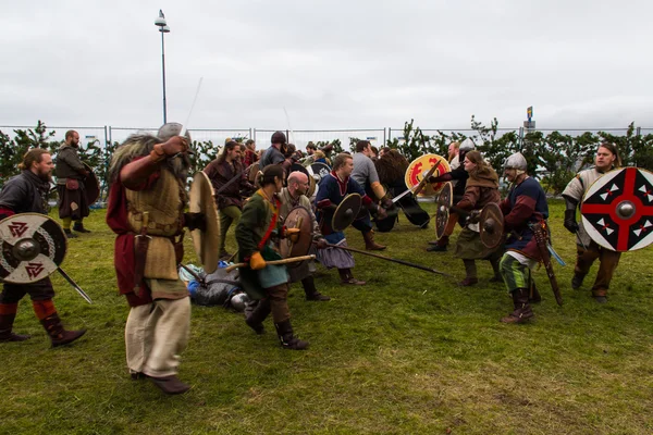 Viking Festivali 2014