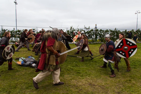 Viking Festival 2014 — Stockfoto