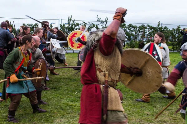 Vikinský festival 2014 — Stock fotografie