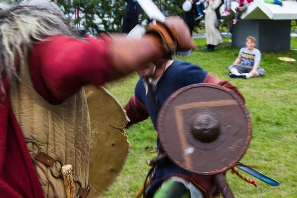 Viking fesztivál 2014 — Stock Fotó