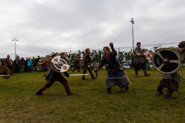 Viking Festivali 2014