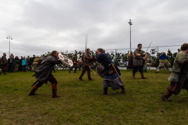 Viking Festivali 2014