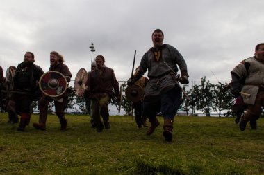 Viking Festivali 2014