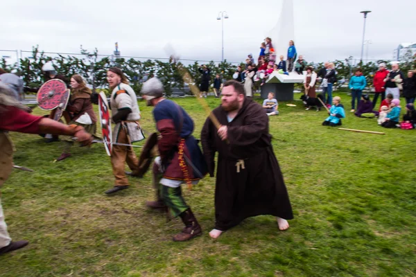 Festival Vikingo 2014 — Foto de Stock