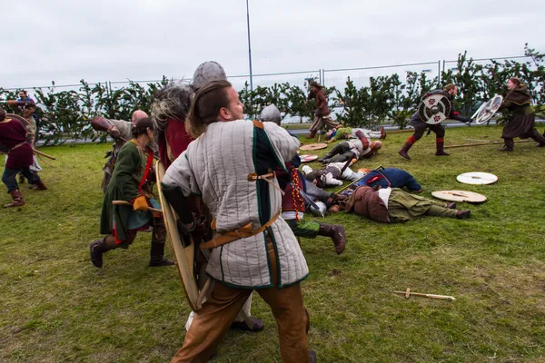 Viking Festival 2014 — Stock Photo, Image