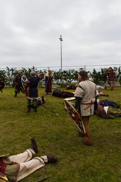 Viking Festivali 2014
