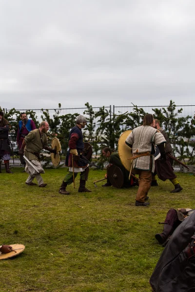 Vikinský festival 2014 — Stock fotografie