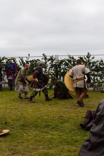 Viking Festival 2014 — Stock Photo, Image