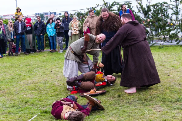 Viking Festival 2014 — Stockfoto